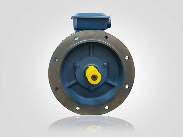 YE2-250M-4 B5 YE2-250M-4 B5